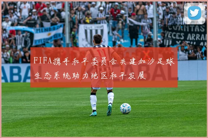 FIFA携手和平委员会共建加沙足球生态系统助力地区和平发展
